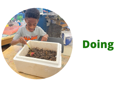 doing the composting
